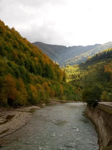 a river in the middle of a valley with trees at Закарпатский сруб in Krasna