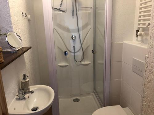 a bathroom with a shower and a sink at Ferienwohnung Basthorst in Basthorst