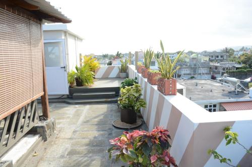 Balkón nebo terasa v ubytování Aurelia Lodge - Apartment with Terrace