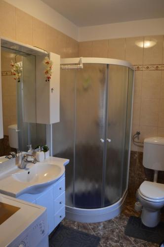 a bathroom with a shower and a sink and a toilet at Apartment Milan Istra in Režanci