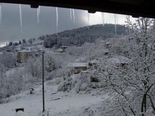 a view of a snow covered hill with houses and trees at Ersis in Neochori