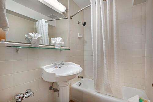 a white bathroom with a sink and a shower at The Capitol Hotel, Ascend Hotel Collection in Hartford