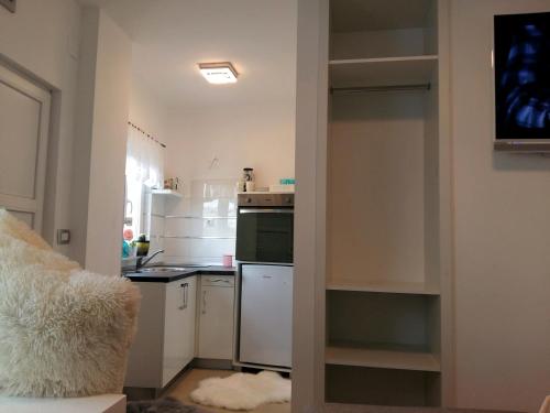 Kuchyňa alebo kuchynka v ubytovaní Studio Apartman Vortex