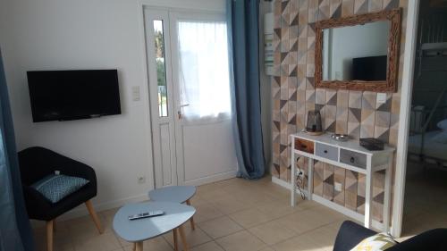 a living room with a television and a mirror at Chalet Les dauphins in Saint-Georges-de-la-Rivière