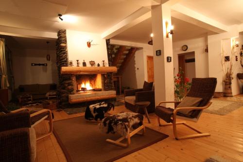 a living room with a fireplace and a dog laying on a rug at Casa Mosului - Transfăgărășan Bed & Breakfast in Cîrţişoara