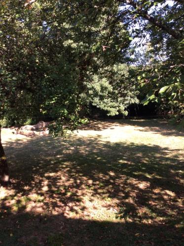 a park with a shady area with trees and grass at L'écurie Gite in Saint-Pierre-de-Côle