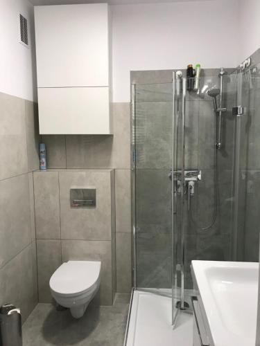 a bathroom with a shower and a toilet and a sink at Apartament bursztynowy in Jantar