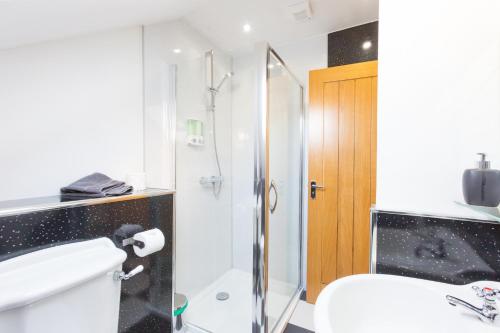 a bathroom with a shower and a toilet and a sink at Bamse B&B in Montrose