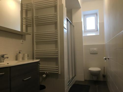 een badkamer met een toilet, een wastafel en een raam bij WALDSHUT SUITE IN ZENTRUM in Waldshut-Tiengen