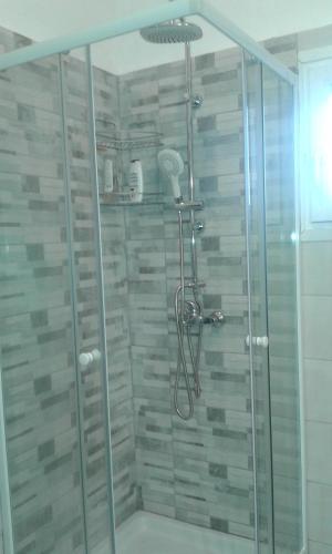 a shower with a glass enclosure in a bathroom at Menelaos Apartments in Lefokastro