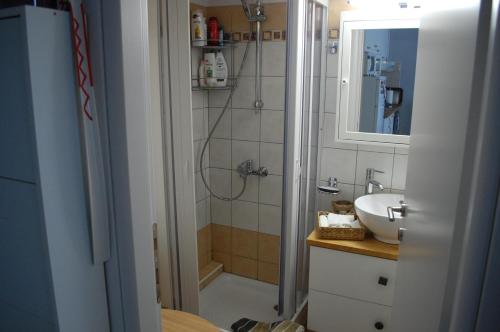 W łazience znajduje się prysznic, umywalka i lustro. w obiekcie Cosy Home w mieście Perea