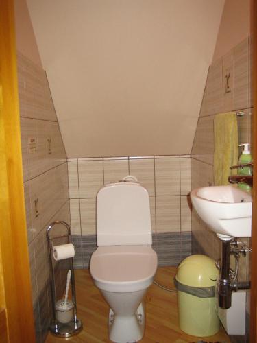 a small bathroom with a toilet and a sink at Brīvdienu māja Pie sievasmātes in Cesvaine