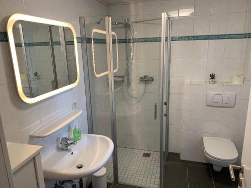 a bathroom with a shower and a sink and a toilet at Niederwerth bei Koblenz in Niederwerth