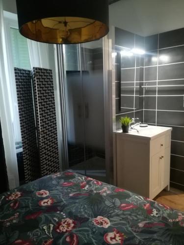 - une chambre avec un lit, une douche et un lavabo dans l'établissement Palais des sources, à Vichy