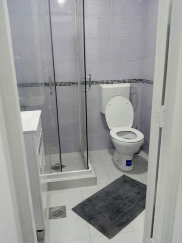 a bathroom with a shower and a toilet and a sink at Anni in Belgrade