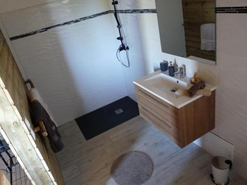 a bathroom with a sink and a shower at BUNGALOW La Tortue Bleue in Bouillante