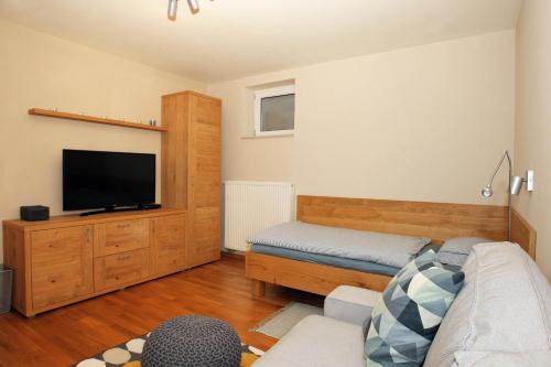 Μια τηλεόραση ή/και κέντρο ψυχαγωγίας στο Apartma - Za dve,štiri šest, ali osem oseb