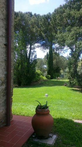 a large vase sitting on a patio with a yard at Podere San Quirico in Castelnuovo Berardenga