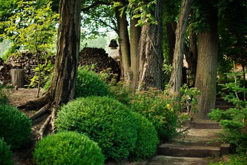 ForRest Hotel & Restaurantにある庭