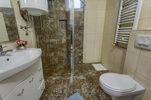 a bathroom with a shower and a toilet and a sink at Konačište Dabić in Zlatibor