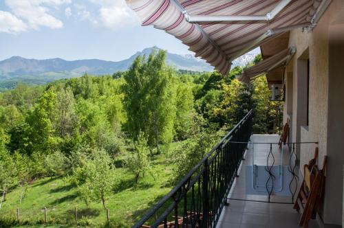 Γενική θέα στο βουνό ή θέα στο βουνό από  αυτός ο ξενώνας