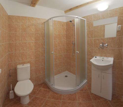 a bathroom with a shower and a toilet and a sink at Blatský dvůr in Veselí nad Lužnicí