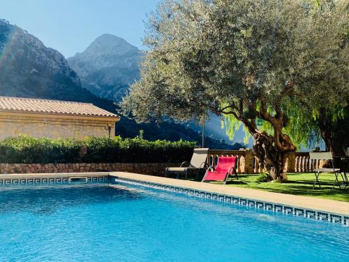 Descubre los mejores hoteles en Mallorca con media pensión 9 Can Pera Accommodation - TI