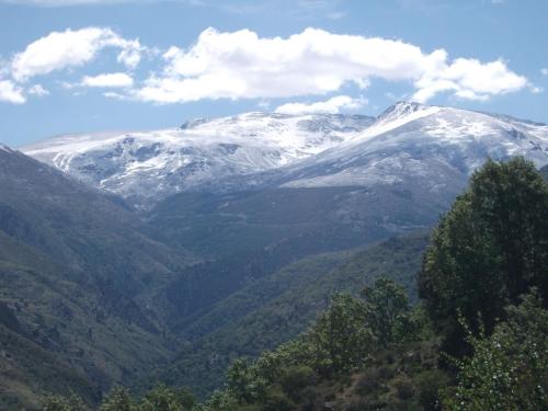 a snow covered mountain in a valley with trees at Apartamentos Sierra Nevada Welcome in Sierra Nevada