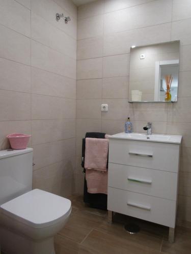 uma casa de banho com um WC, um lavatório e um espelho. em Apartamento AGP Centro Histórico em Málaga