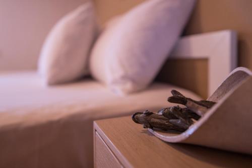 Gallery image of Amaryllis apartments in Toroni