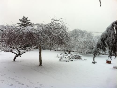 a garden covered in snow with trees andrees at Vista Castello in Rovereto