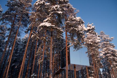 Treehotel under vintern