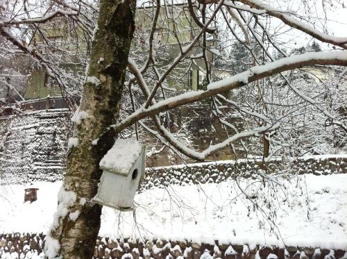 a bird house on a tree in the snow at Vista Castello in Rovereto