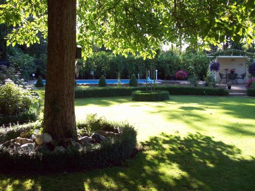 a tree in the middle of a yard at Vakantie Appartementen Engelen in Stevensweert