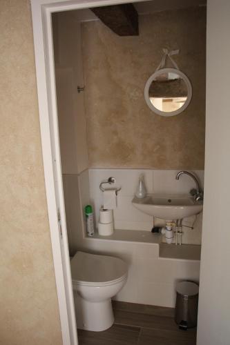 uma casa de banho com um WC, um lavatório e um espelho. em Gite du Moulin de Balzac em Artannes-sur-Indre