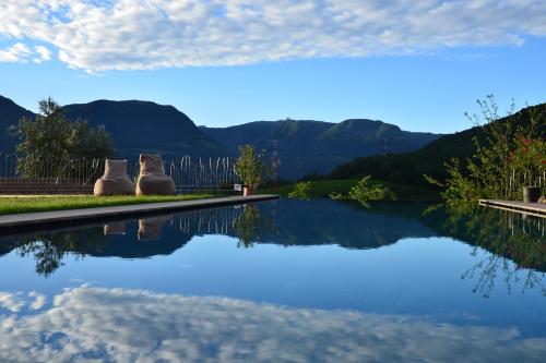 a pool of water with mountains in the background at Ebnerhof in Appiano sulla Strada del Vino