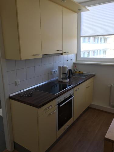 uma cozinha com um lavatório e uma bancada em Ferienwohnung Schleswig em Schleswig