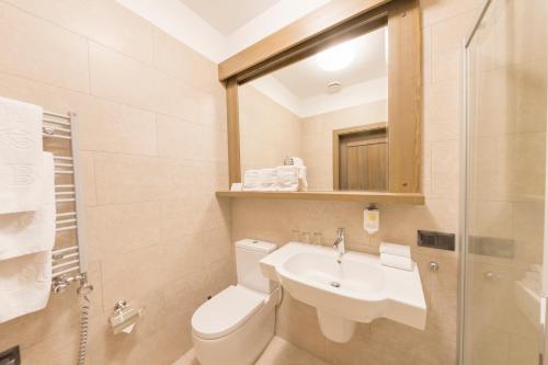 a bathroom with a sink and a toilet and a mirror at Hotel Jakubus in Wilków