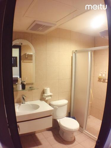 a bathroom with a toilet and a sink and a shower at Longmen Inn Bed and Breakfast in Jinning