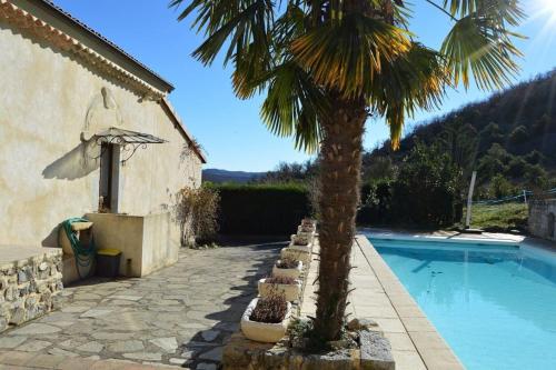 un palmier installé à côté d'une piscine dans l'établissement Mas Ardechois proche Vallon pont d'arc, à Villeuneuve-de-Berg