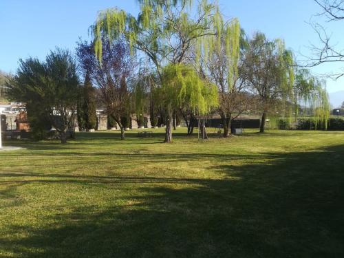 a field of grass with trees in the background at Villa Pancrazzi in Figline Valdarno