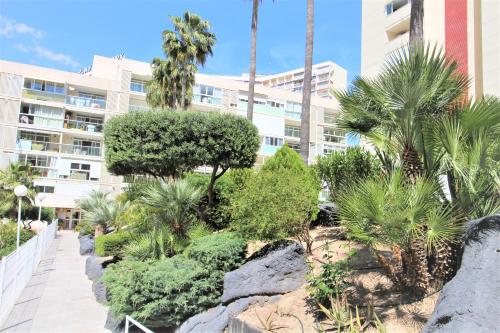 Atico Levante Torre Montecarlo