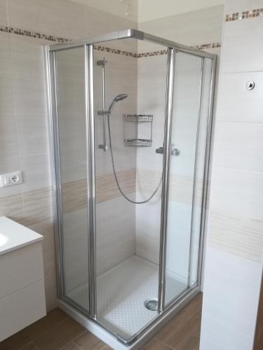 a shower with a glass enclosure in a bathroom at AGLI OLEANDRI appartamento in villa con con parcheggio in Gorizia