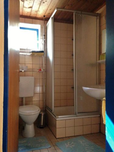 a bathroom with a toilet and a shower and a sink at Reiterhof Winandy in Wietzendorf