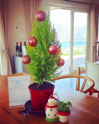 a christmas tree in a pot on a table at Hout Bay Breeze Guest House in Hout Bay