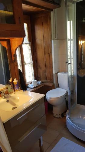 a bathroom with a toilet and a sink and a shower at Maison du pays de Salers dans le parc des volcans d'Auvergne in Saint-Projet-de-Salers