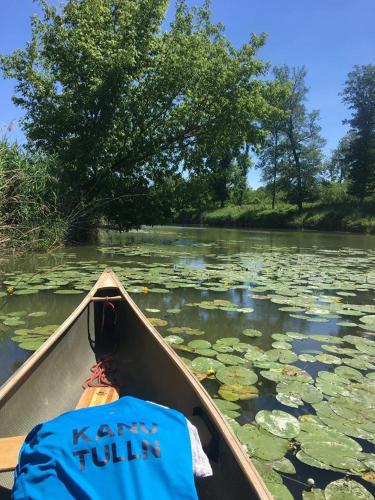 a boat on a river with lily pads at Donaupark Camping Tulln in Tulln