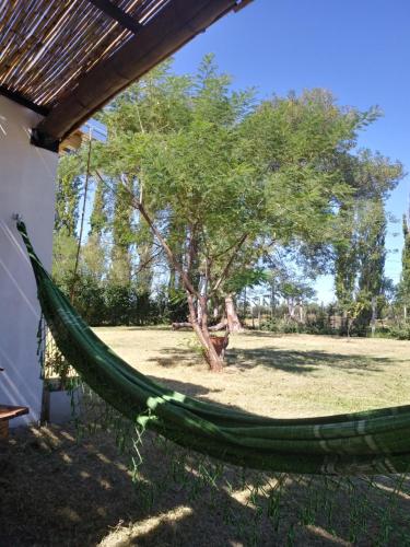 a hammock in a yard with a tree at Apartamento Cerrito in San Rafael