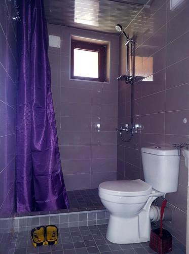 a bathroom with a toilet and a purple shower curtain at Guest House Villa in Kvareli