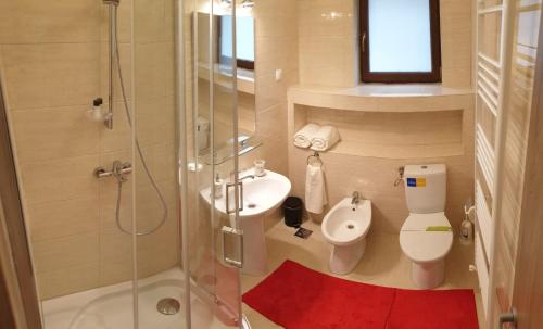 Ένα μπάνιο στο Lenz Apartment Predeal